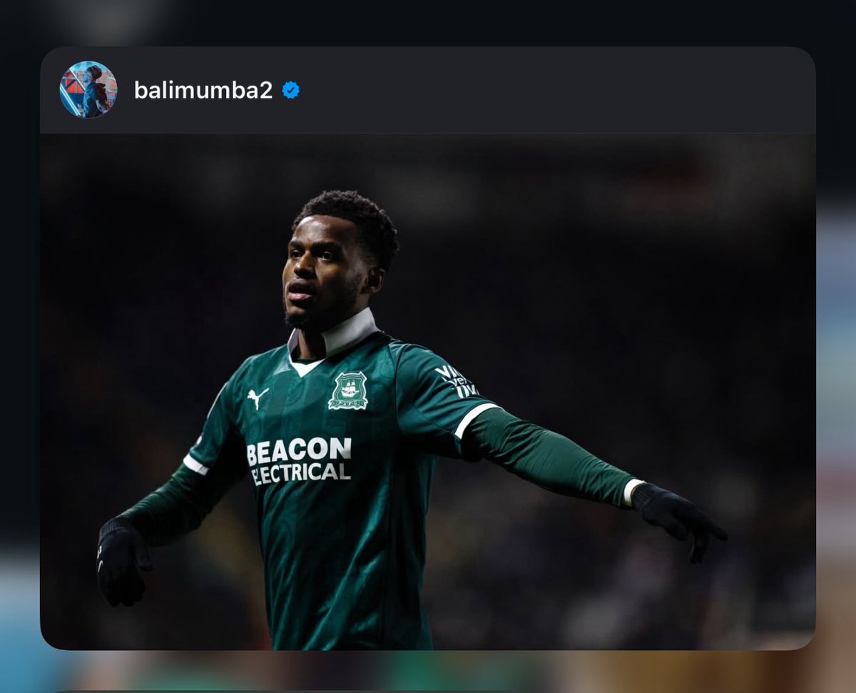 Argyle Life / Green & White Podcast tweet media