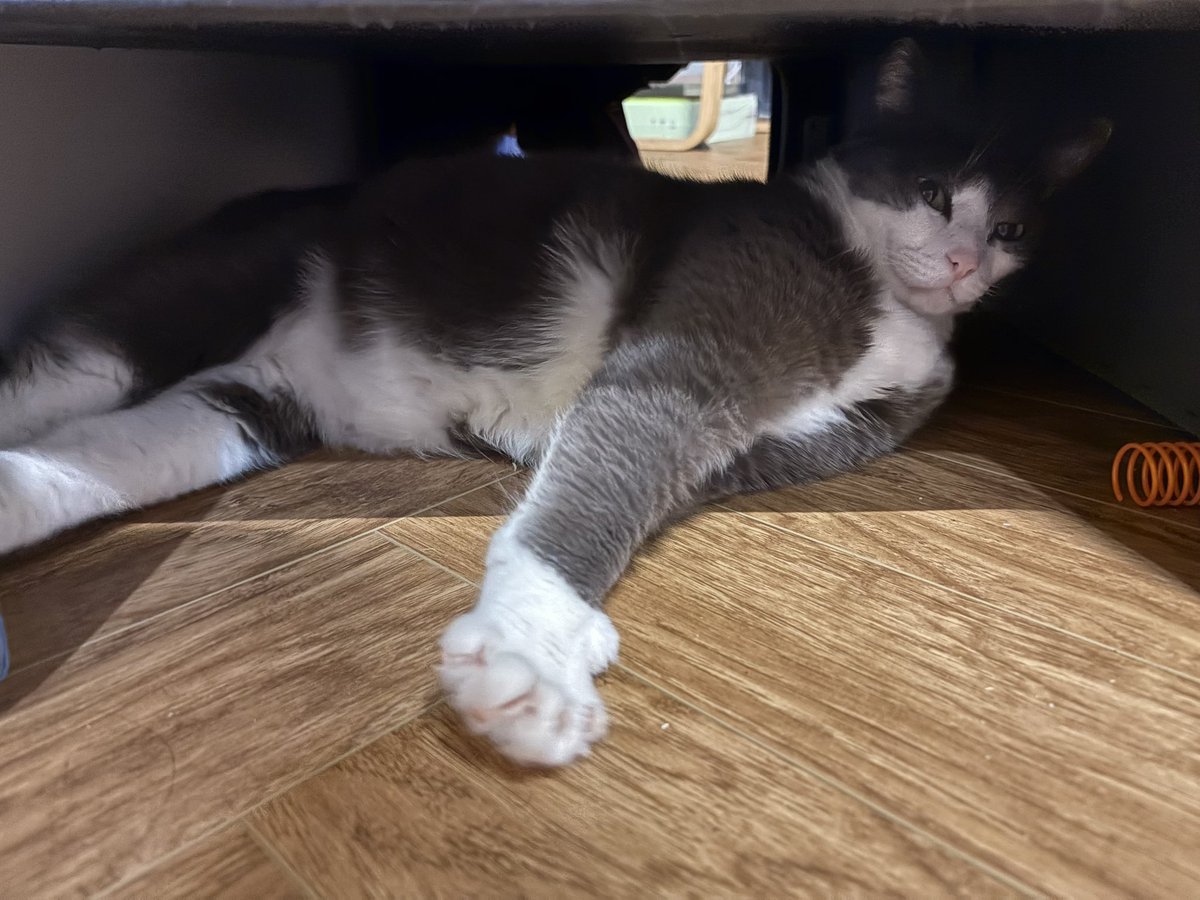 sendbitcoinz's tweet image. На улице холодно, под диваном тепло-тепло