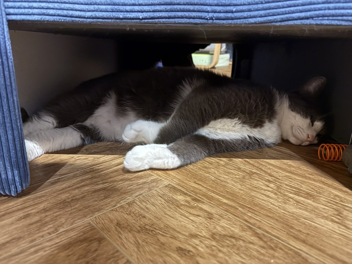 sendbitcoinz's tweet image. На улице холодно, под диваном тепло-тепло