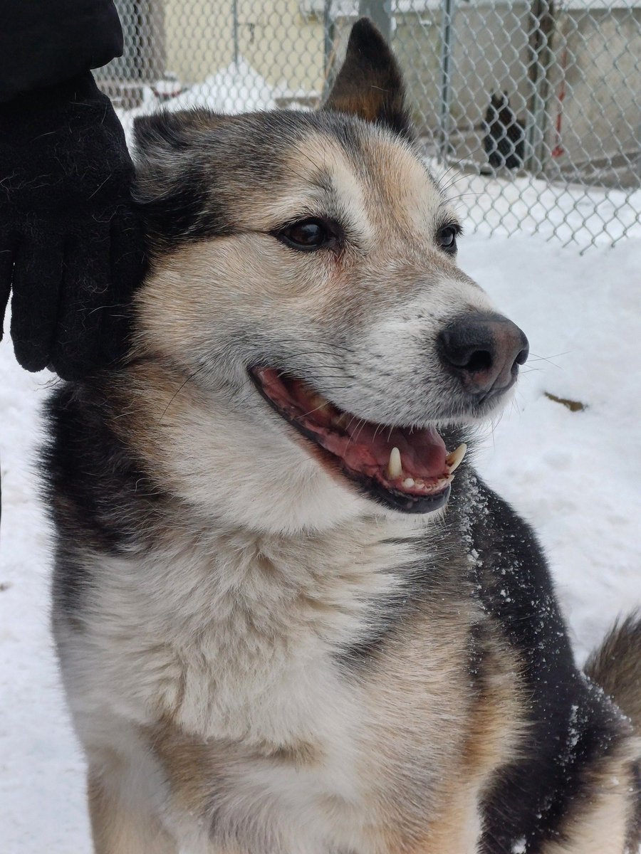 PiPi 💅 #silnaosobno tweet media