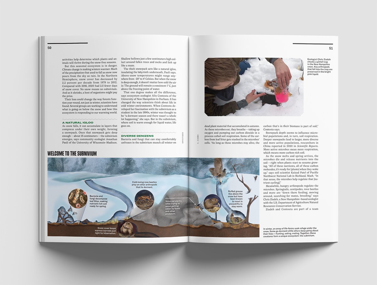 SayoStudio tweet media