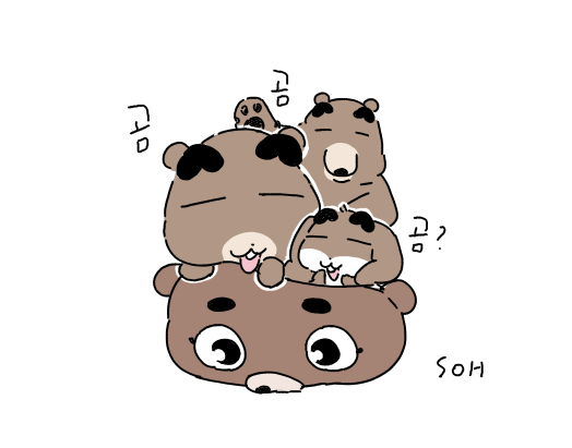 🐻🐻🐻