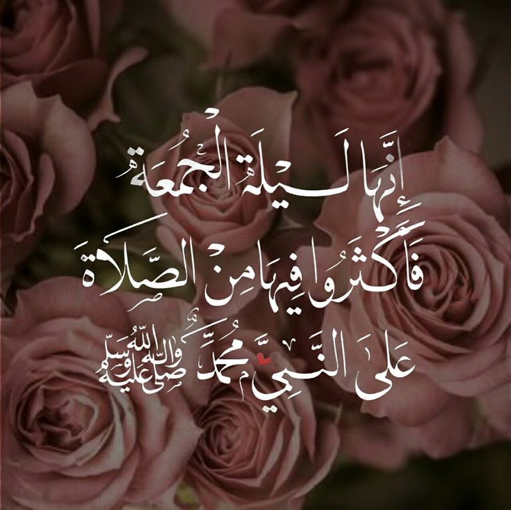 Essraa mosstafa tweet media