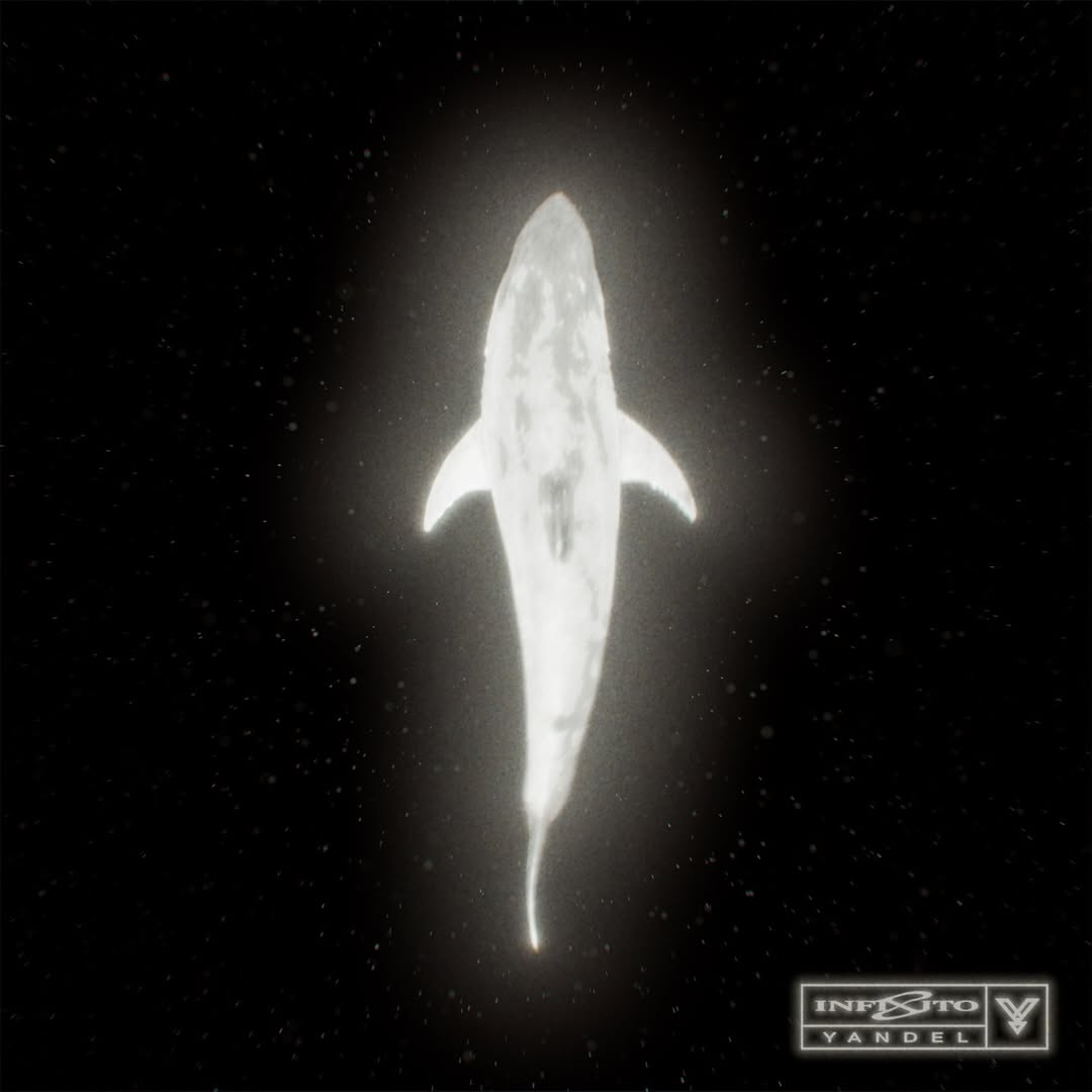 exatv's tweet image. 🦈 @yandeloficial entra en modo INFINITO. ♾️🔥
El ícono del reggaetón reveló la portada y los primeros detalles de #INFINITO, su próximo álbum que se estrena el 22 de enero. 🦈🔥

El proyecto contará con colaboraciones de J Balvin, Latin Mafia, Xavi y Kapo, y promete escucharse…