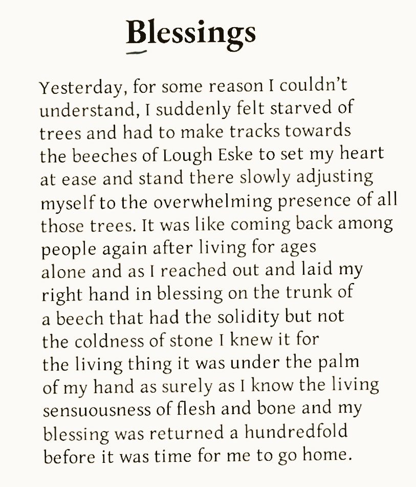 Cian McCarthy tweet media