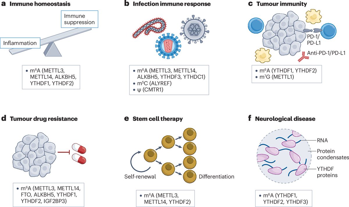 Nature Reviews Drug Discovery tweet media