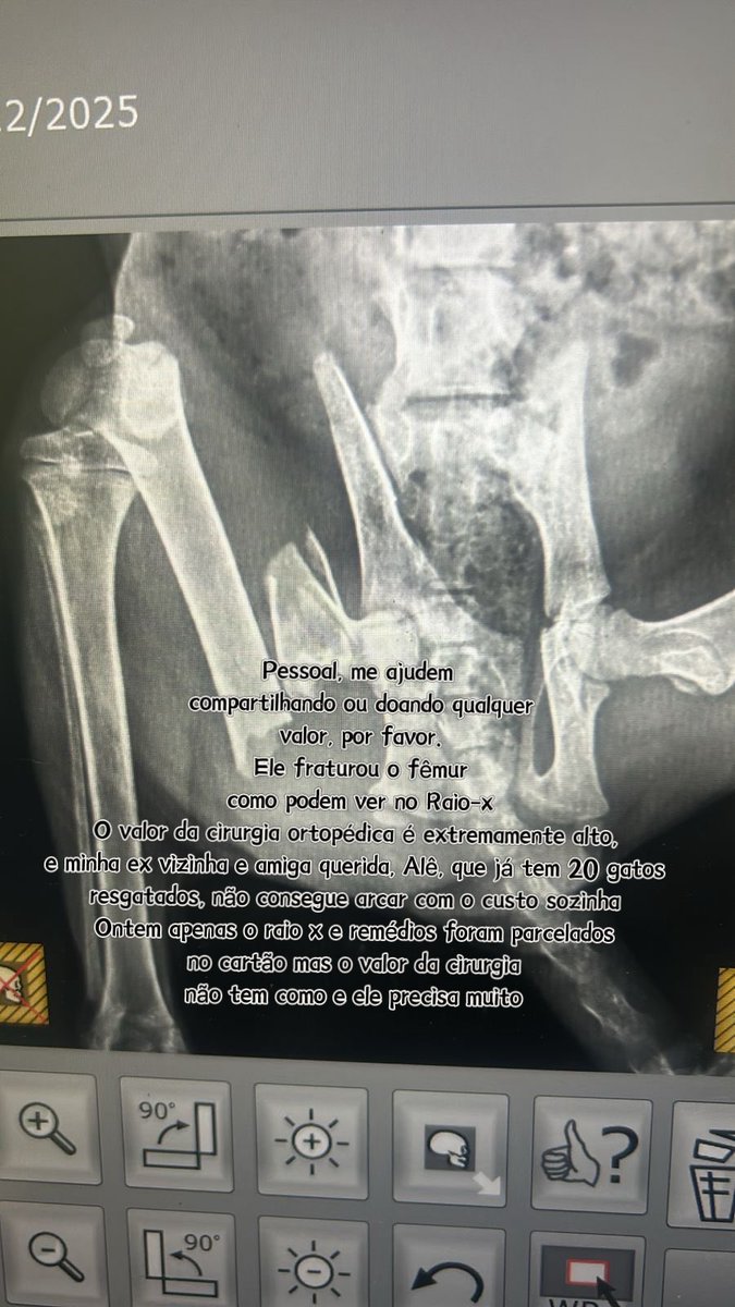 Gente eu tô fazendo uma rifa pra ajudar na cirurgia do gatinho mingau, sei que não é o melhor prêmio, mas esse furby é uma coisa muito preciosa pra mim, que cuidei com muito amor e é super fofo! Quem puder compartilhar por favor