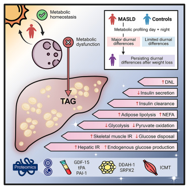 Cell Metabolism tweet media