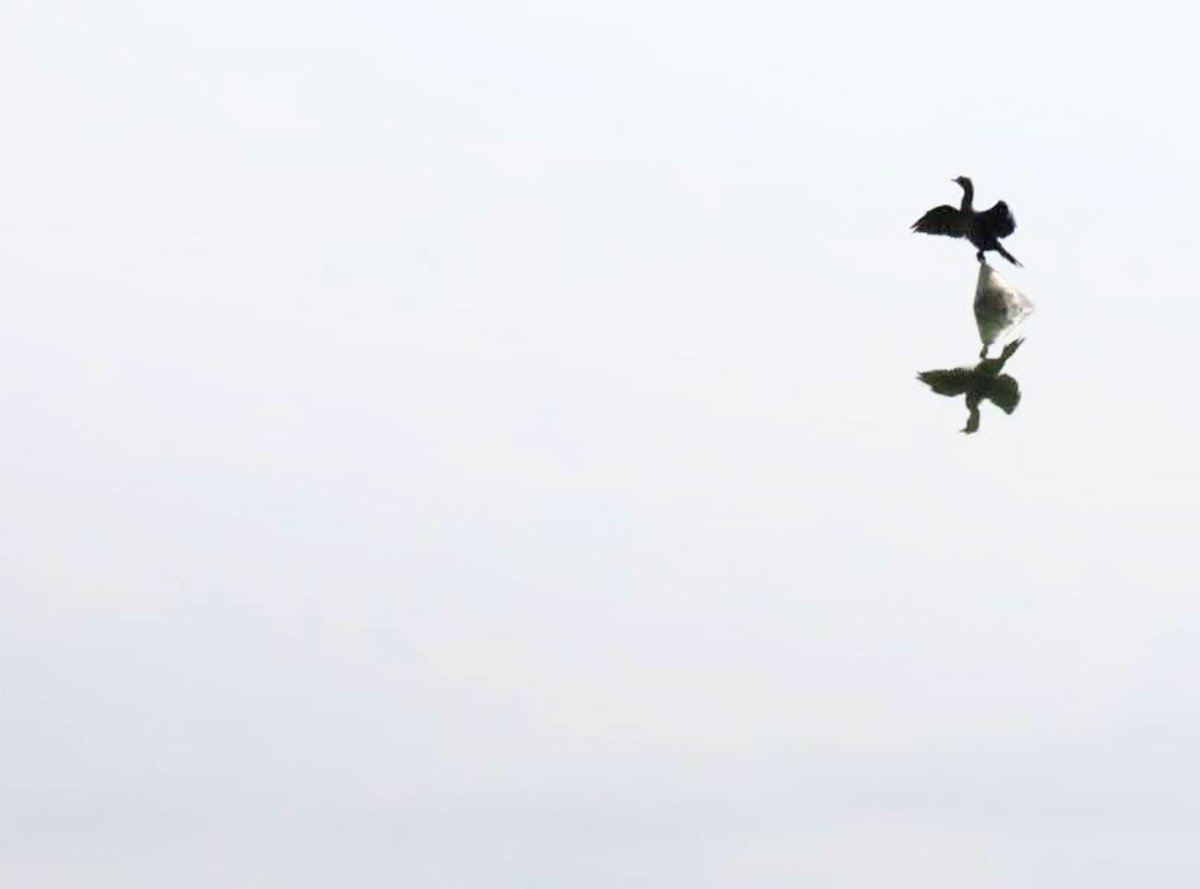 Η πόρτα της εξόδου είναι μόνο μία και η ζωή παραμονεύει έξω να σε καταπιεί. Ή θα βγεις και θα παλέψεις ή θα πεθάνεις μέσα. Από φόβο ή και από μοναξιά.

📷︎