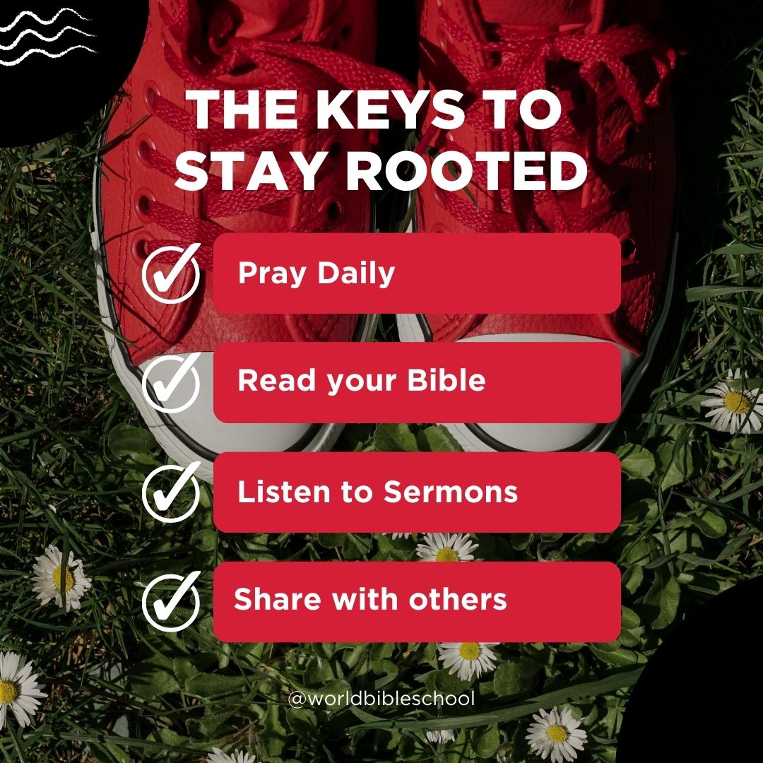 World Bible School tweet media