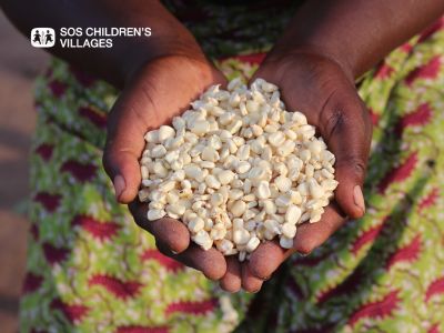 SOSChildrenUSA's tweet photo. Drought-resistant seeds for a family can grow meals, smiles and pride for families watching them sprout. 🌱 https://t.co/oAytFFvVWN https://t.co/mNQYYnUFRO