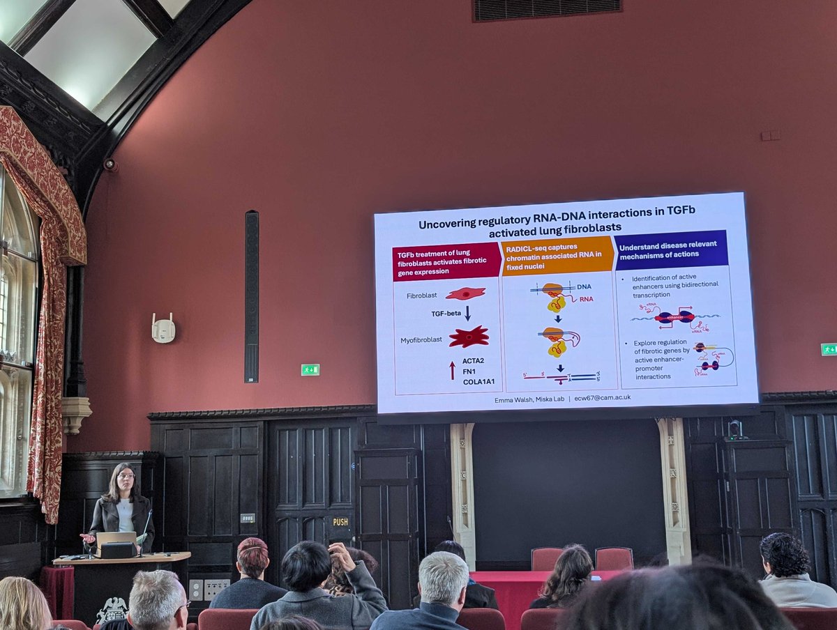 Eric Miska Lab tweet media