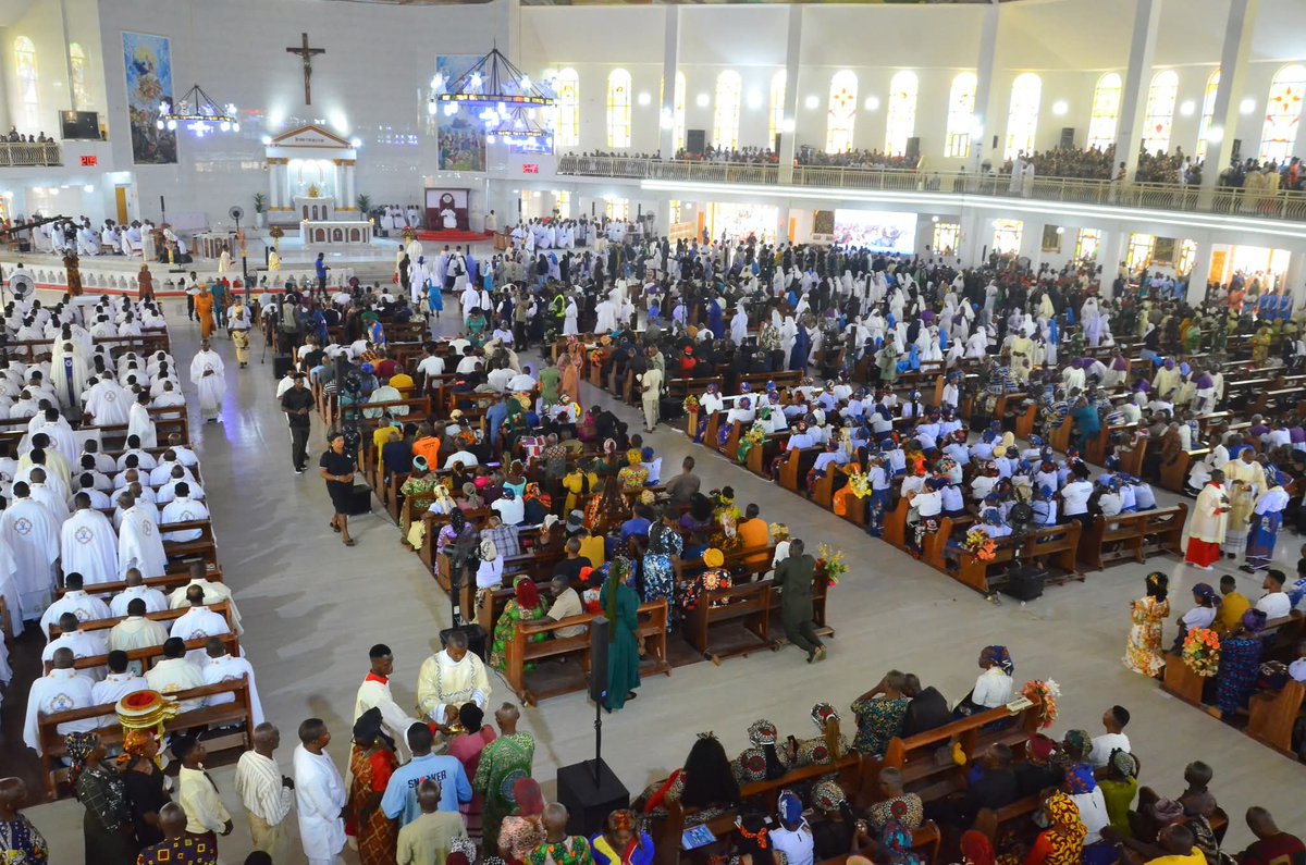 Alexander tweet media