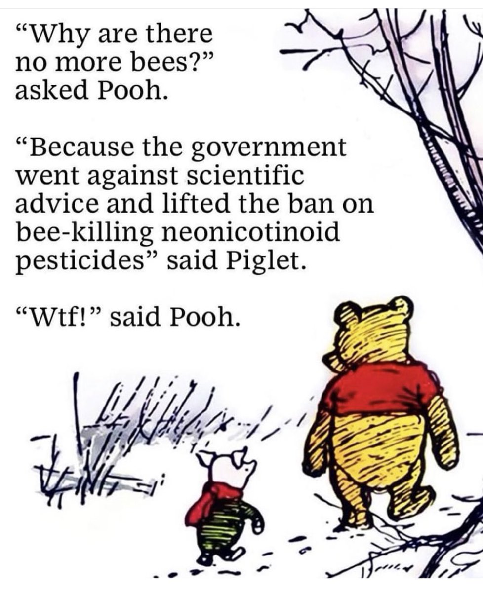 WitneyBees 💙's Bees tweet media