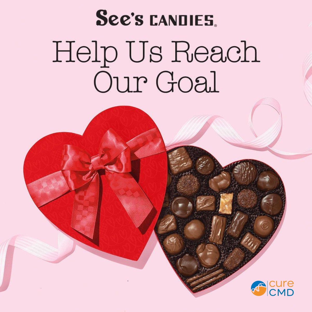 Cure CMD tweet media