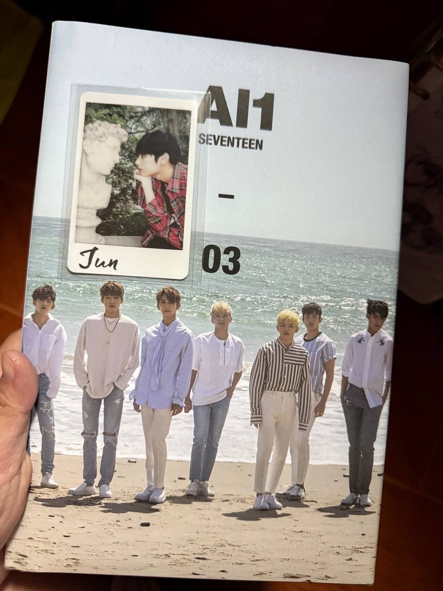 loverofcheol's tweet photo. Seventeen Al1 Album with Jun PC

💌 P200 https://t.co/e7r2c2TNFY