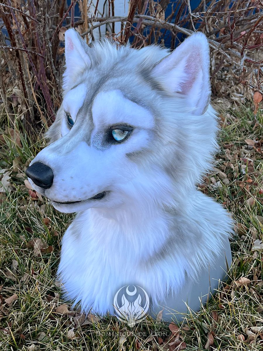 de Leon Fursuits tweet media