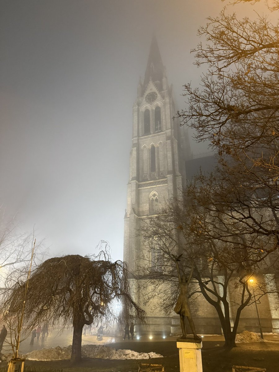 michailidu janka tweet media