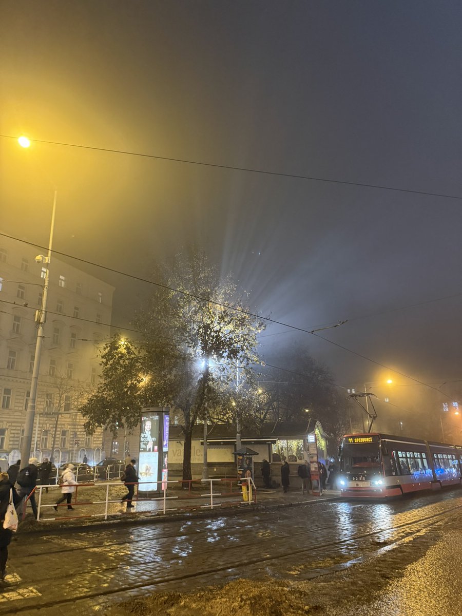 michailidu janka tweet media