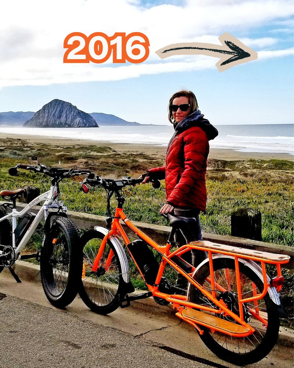 Rad Power Bikes tweet media