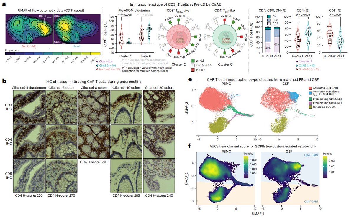 Ruella Lab tweet media