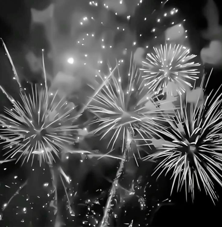 luminstart's tweet image. 🥀 Estallan colores en la noche de sueños rotos, magia y caos por un segundo… Fuegos que brillan y mueren solos.