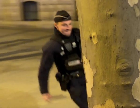 🇩🇴🐼 tweet media