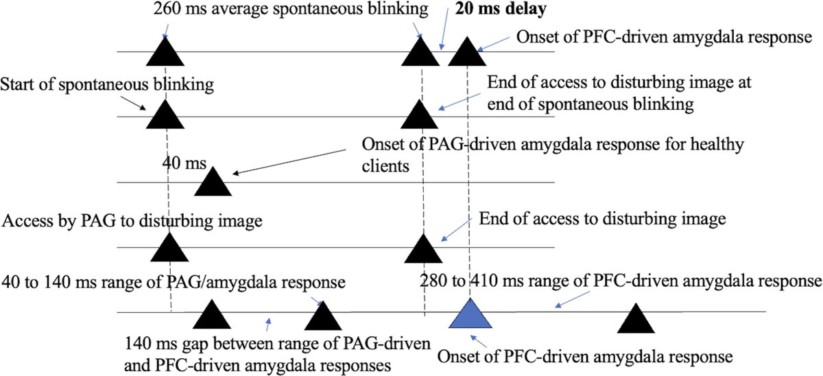 SPJournals's tweet image. JUST PUBLISHED: Testing Wong’s Theory on the Flash Technique with Published Timing Data for Healthy Subjects

Click here to read the latest free, Open Access article from the Journal of EMDR Practice and Research: spj.science.org/doi/10.34133/j…

#EMDR #EMDRIA
