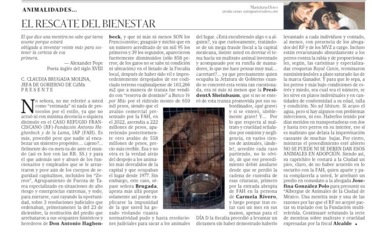 marianoosorio1's tweet photo. El rescate del bienestar 

“No apagaron al refugio… encendieron la voz de un movimiento”

Marielena Hoyo Bastien nos comparte su opinión sobre el @Ref_Franciscano, que publicó en @LaCronicaDeHoy https://t.co/dXREbdCVlZ