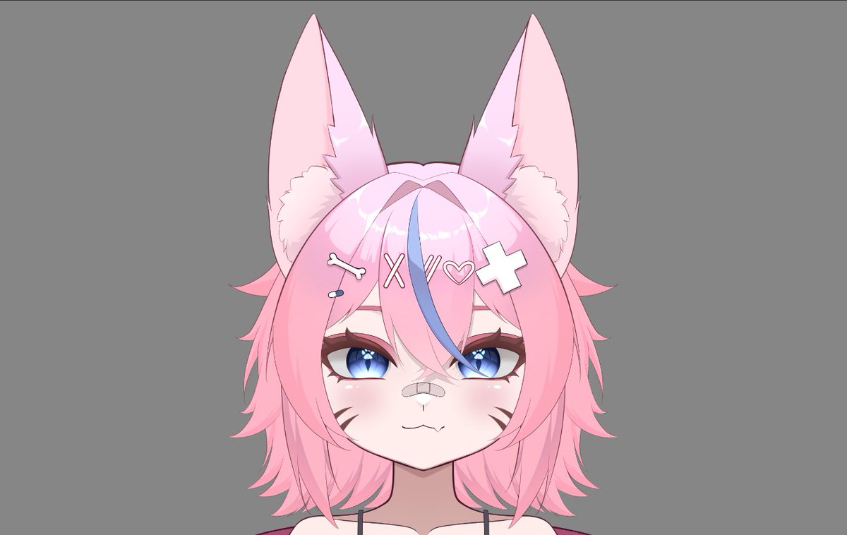 progress vt model commission