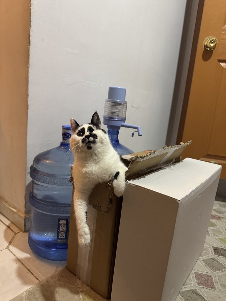 bu kutular böle mi kullanılıodu