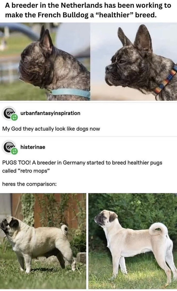 nocontextmemes's tweet image. 