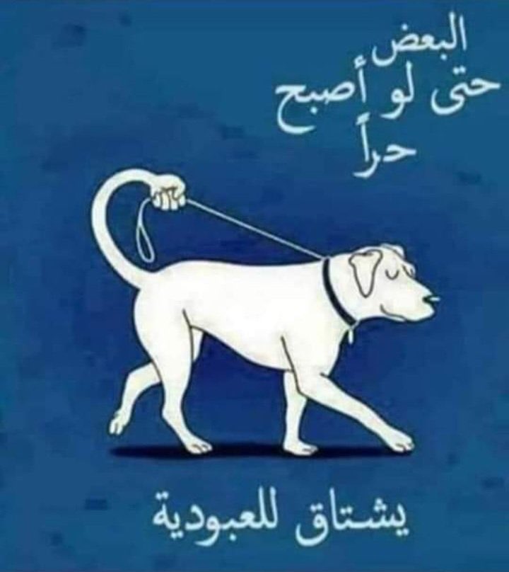 ademalwafa's tweet photo. https://t.co/3fOBvWgvTO