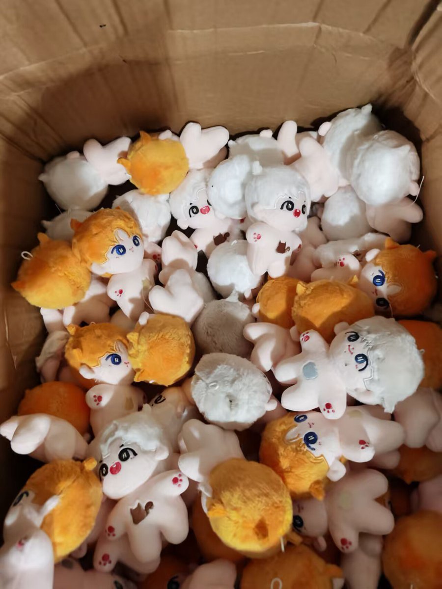 Little boy dolls tweet media