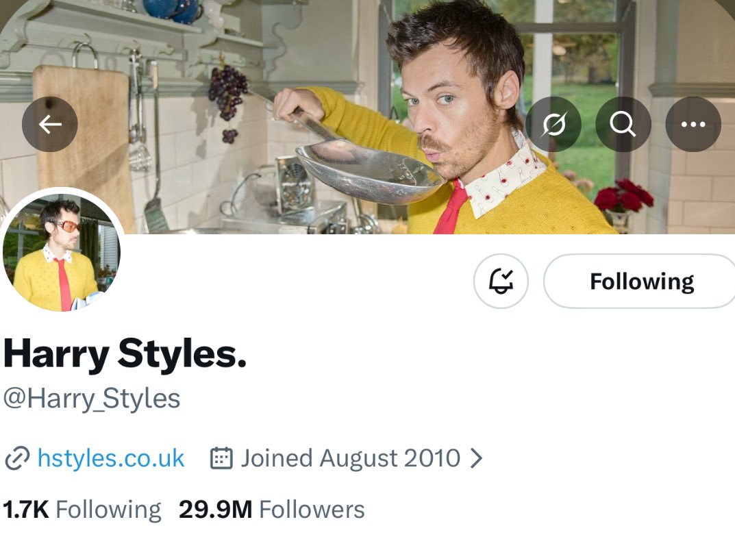 TheHSUpdate's tweet image. Harry’s new twitter layout!
