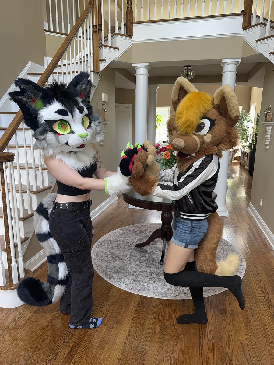 ✨Ponder✨ hiatus due to college tweet media