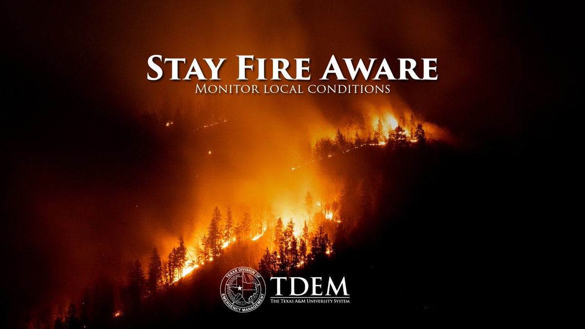 Texas Division of Emergency Management tweet media