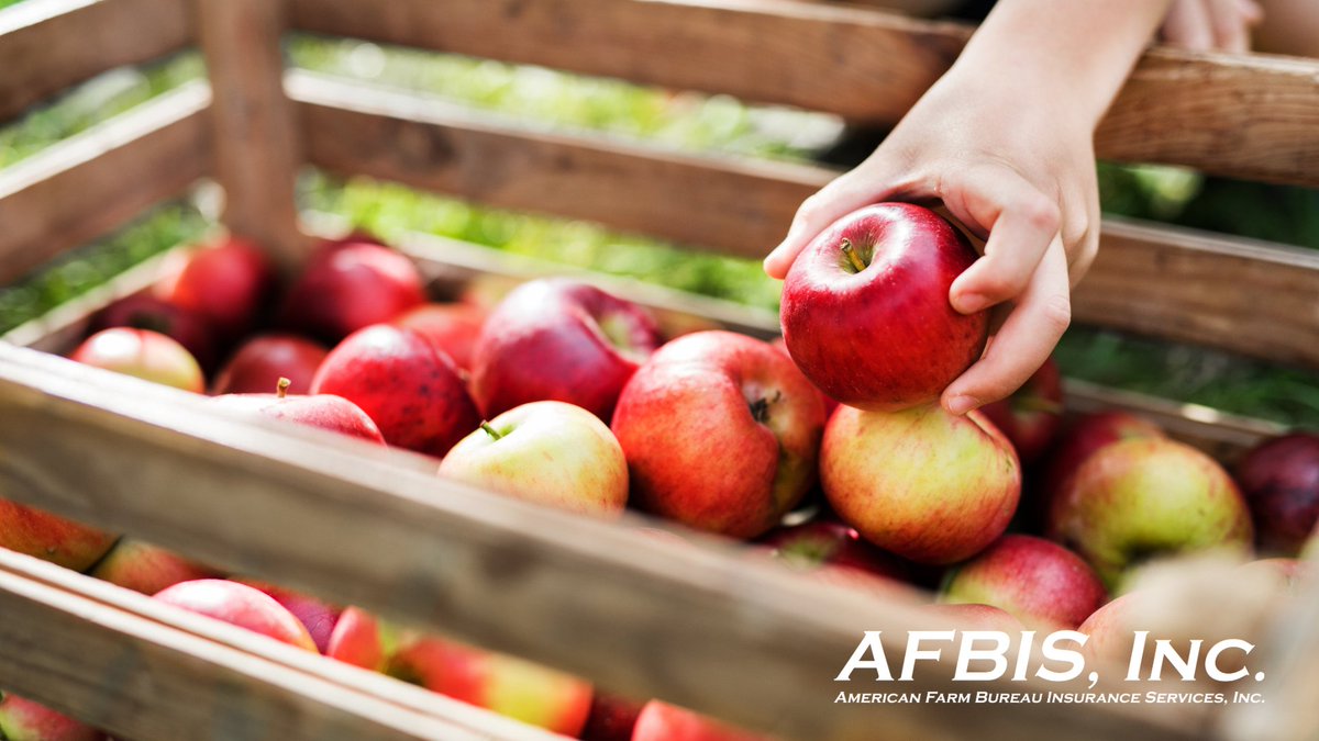 AfbisInc's tweet photo. 🍓Fruit Crop Insurance Deadlines Are Here!

📌 1/15 – Acreage Reporting
📌 1/20 – Sales Closing

👉 Contact your agent before it’s too late! https://t.co/1wnS2fu9hE
