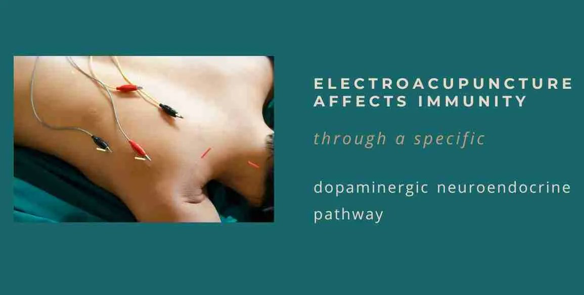 BrainImmune tweet media