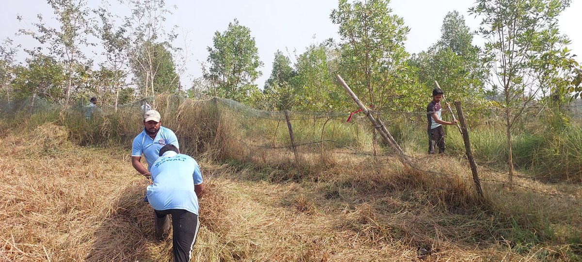 Amaresh Naresh tweet media