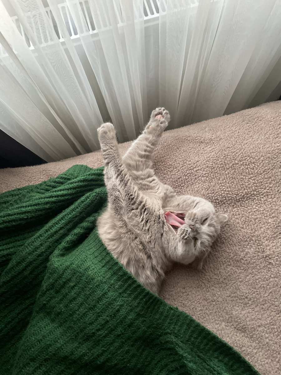 ahhsshwhdhwheuwhsgwuedh