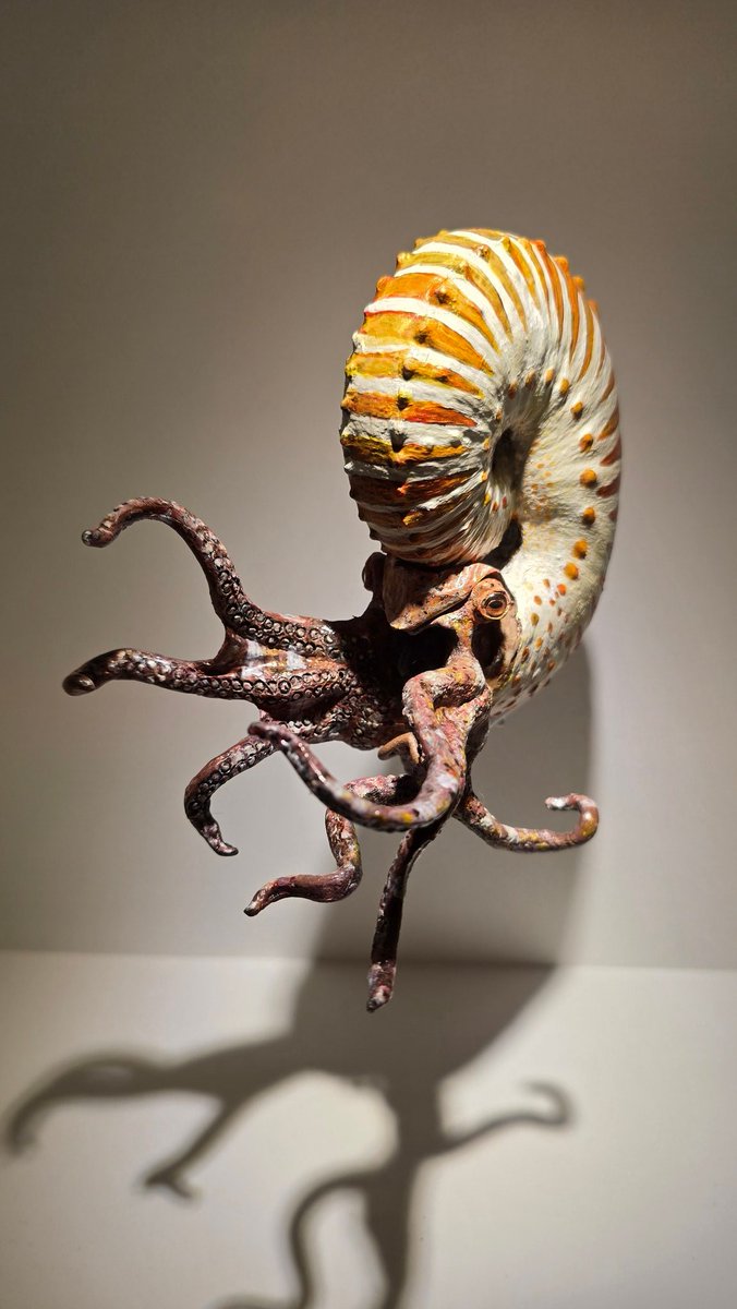 The Houston Museum of Natural Science ❤️🦖🧠🌌 tweet media