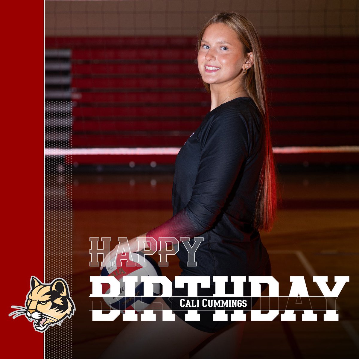 IU Kokomo Volleyball tweet media