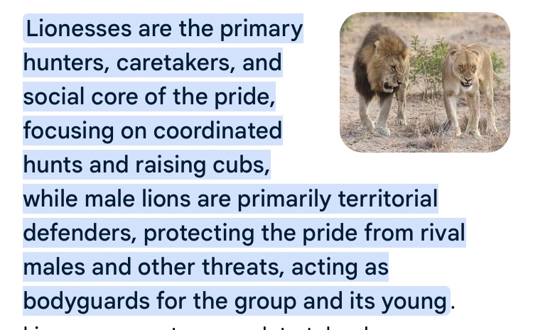 Jack✙ (@jackfella7665) on Twitter photo 