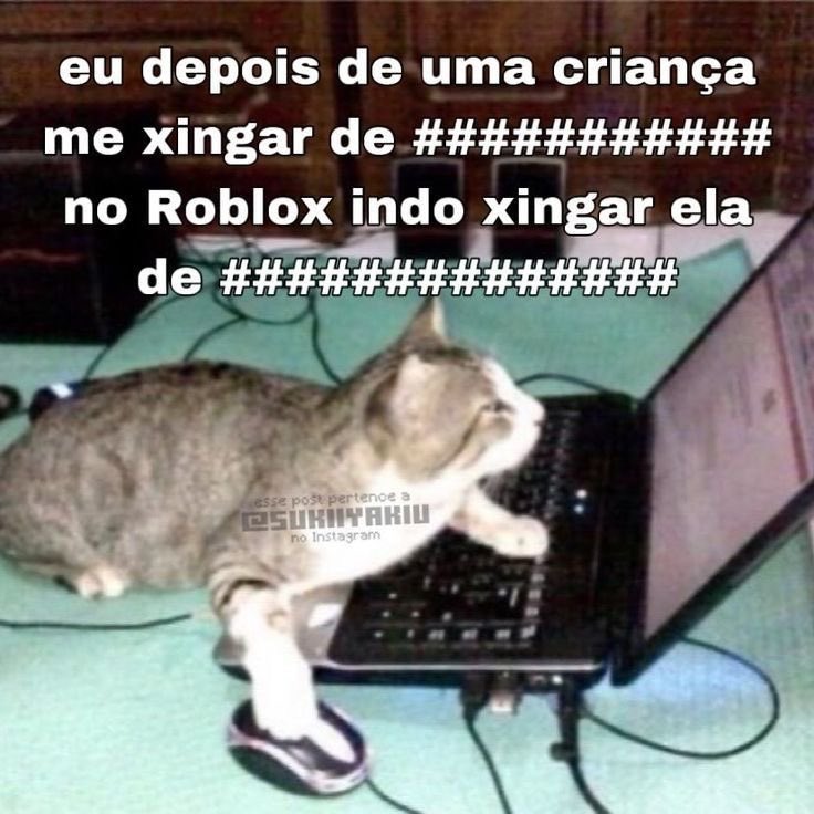 shitpostverdade's tweet image. 