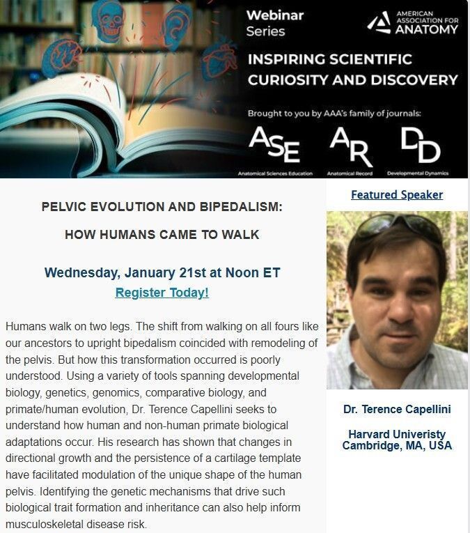 The Anatomical Record tweet media