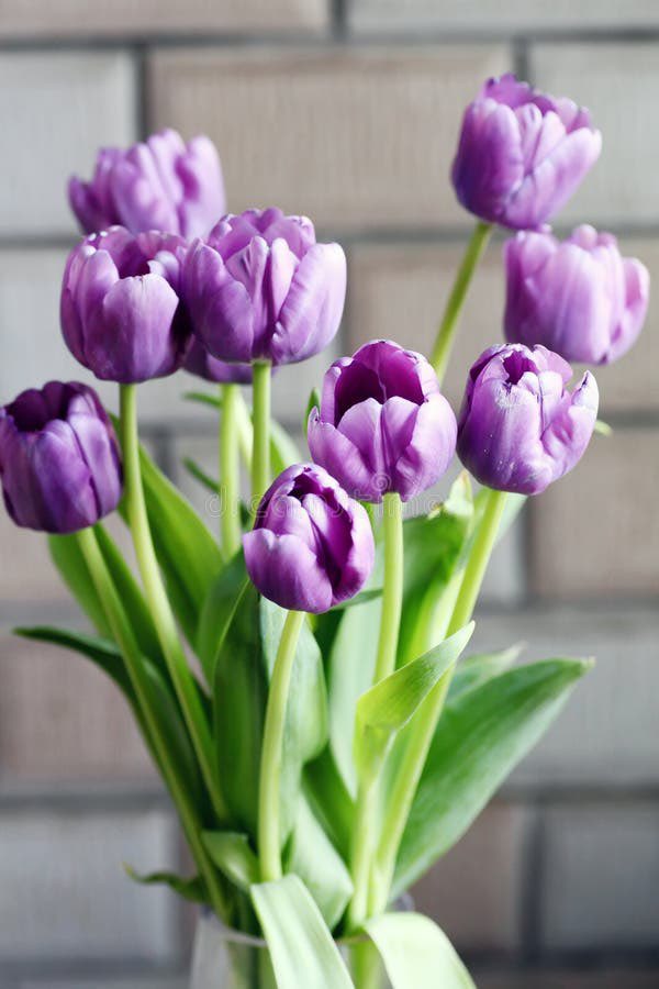 Vantaegi95's tweet image. En este día, el día y la noche tienen casi la misma duración, simbolizando el equilibrio del yin y el yang.

— Qué representa
• El momento en que la primavera comienza de verdad
• Un punto de inflexión donde regresa el calor y la luz
• Renovación, renacimiento y nuevo comienzo