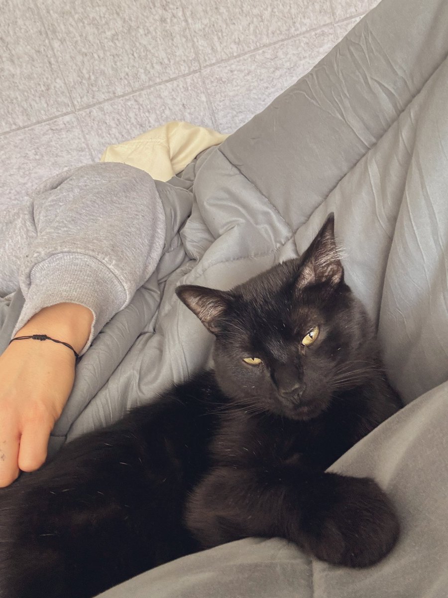 necesitábamos esto 🖤