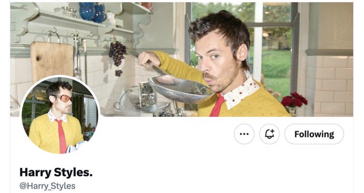 cherrynk_'s tweet photo. Harry Styles album announcements hit harder when you’ve loved him for more than a decade and survived every era. https://t.co/kgsg2Jc5Np