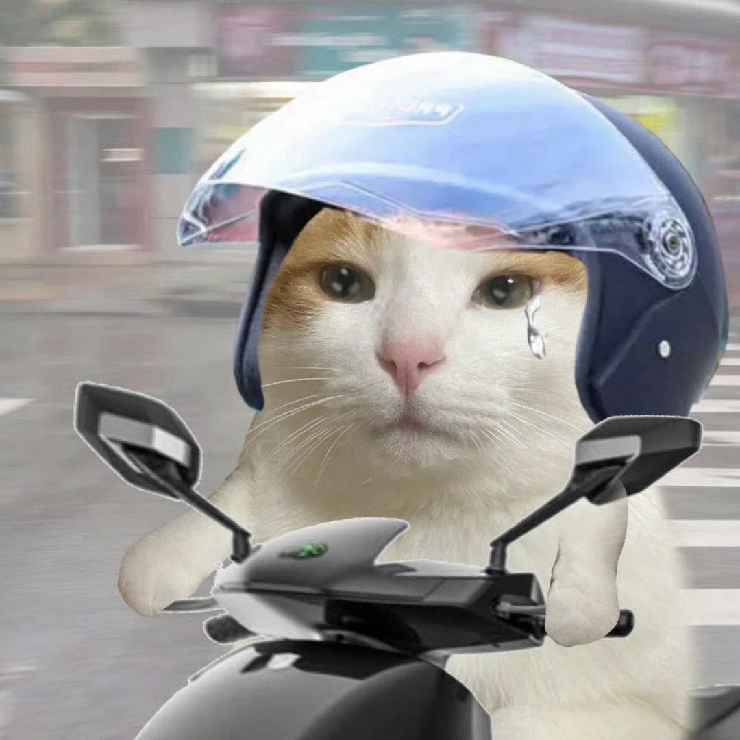 从未有过如此挣扎的一天 太难了